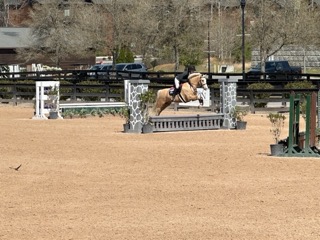 Horse jumping at TIEC Tryon NC