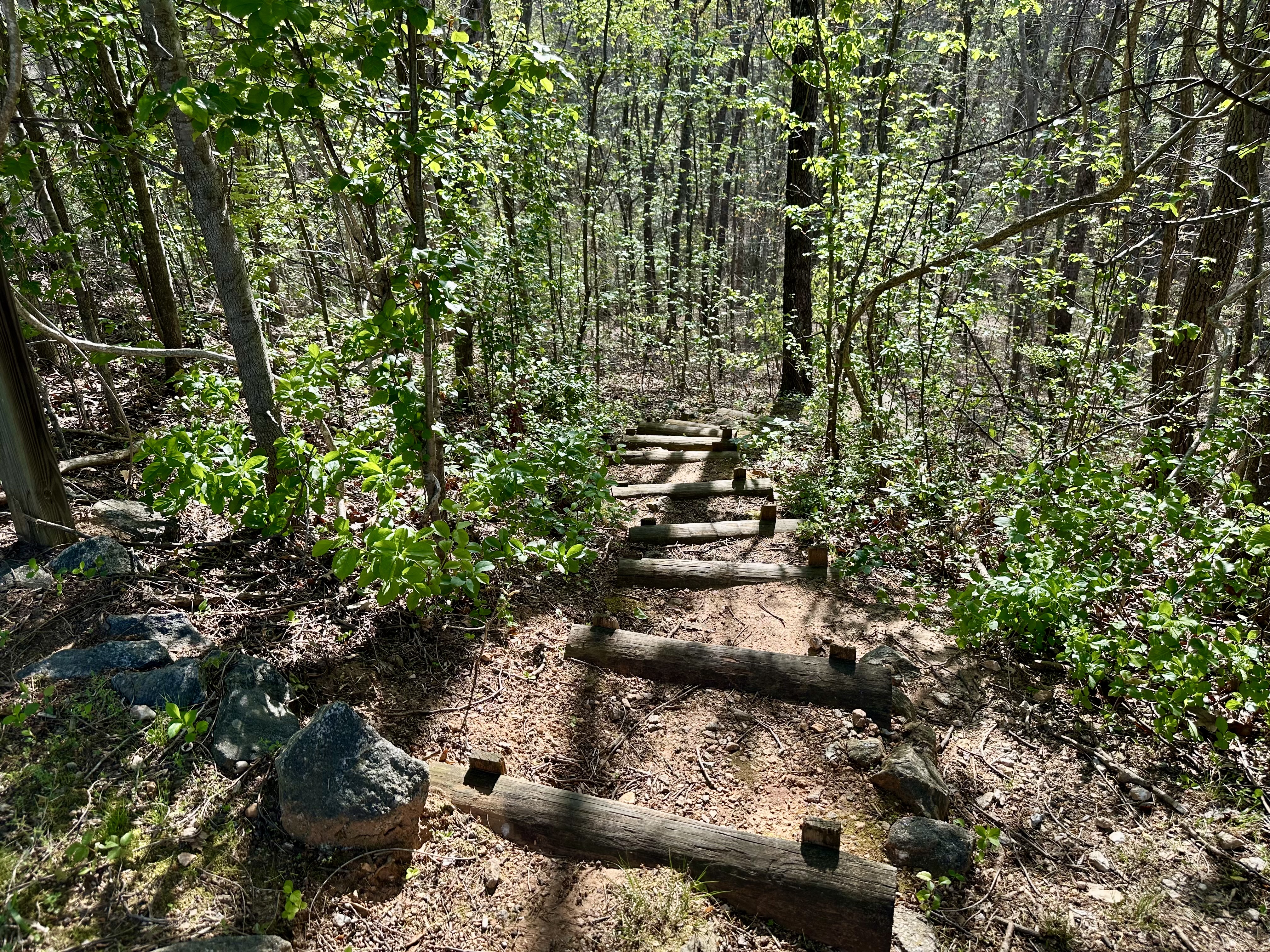 Hiking trail log steps Blue Ridge forest Tryon NC